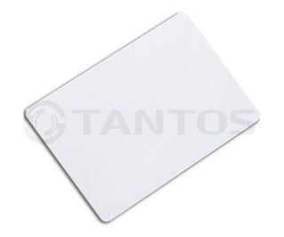 Tantos Temic (тонкая) TS фото Tantos Temic (тонкая) TS фото